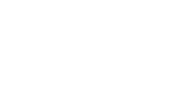 RDS France - Canons brumisateurs de chantier pour les professionnels